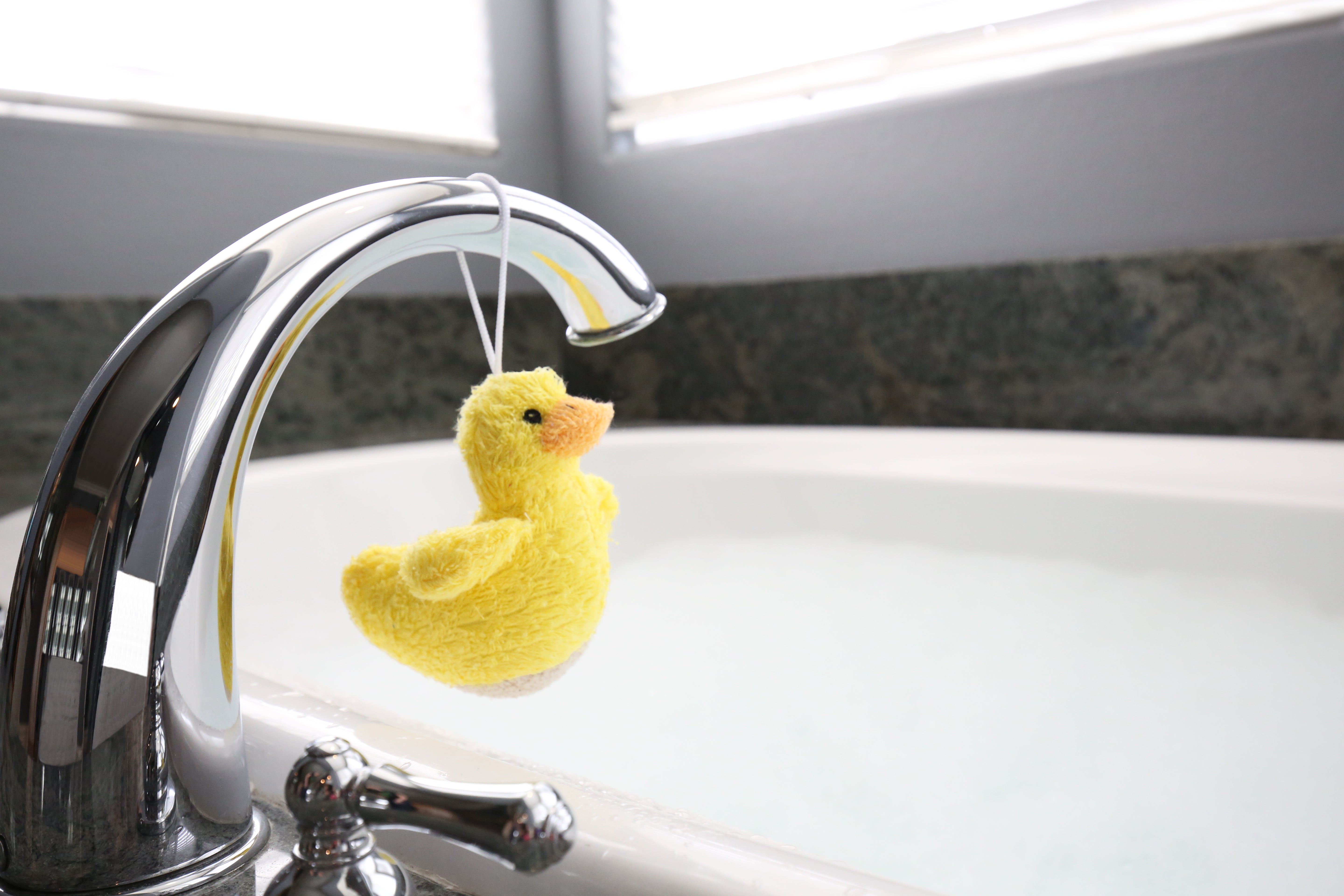 Bathtime Ramies – Plantlife