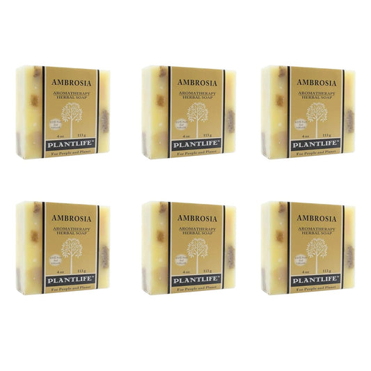 Six bars of Plantlife Ambrosia soap arranged in two rows on a white background.