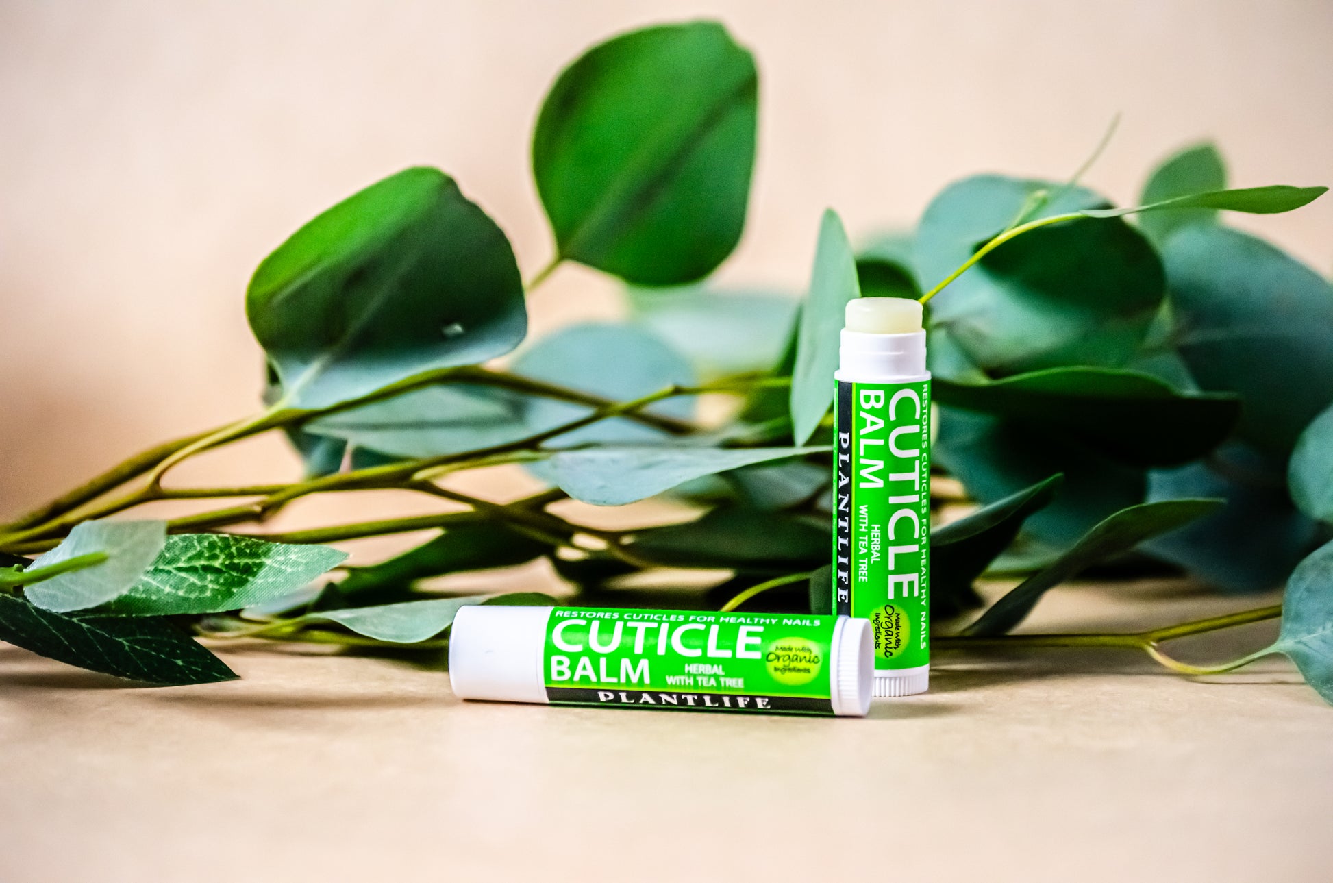 Plantlife Restore Cuticle Balm β Herbal with Tea Tree, shown with fresh eucalyptus leaves. Made with organic ingredients to hydrate and repair dry cuticles.