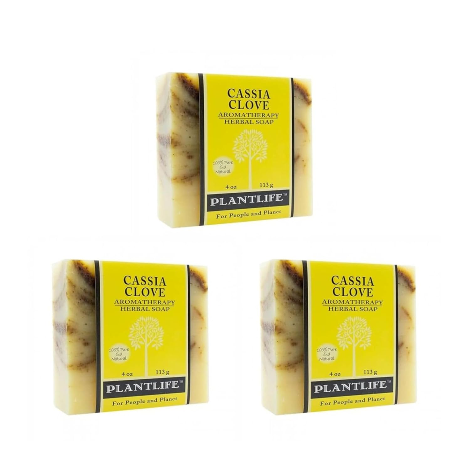 Cassia Clove Plant Based Bar Soap 3 Pack