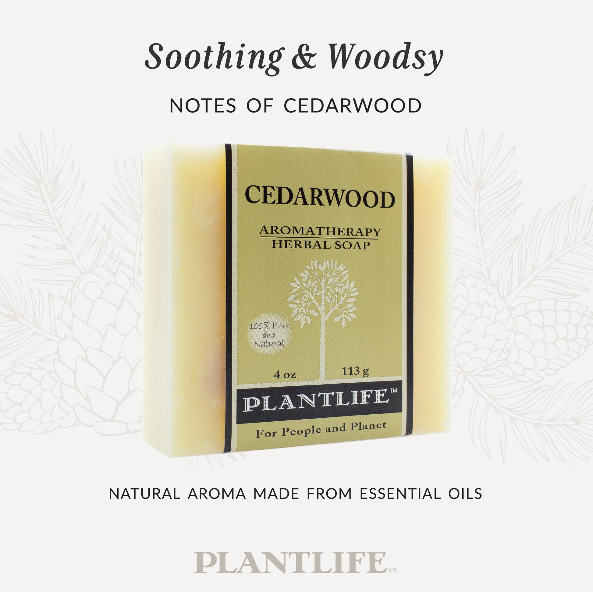 Plantlife Cedarwood Aromatherapy Herbal Soap in tan packaging with a natural beige bar visible. Text reads “Soothing & Woodsy – Notes of cedarwood” and “Natural aroma made from essential oils.”