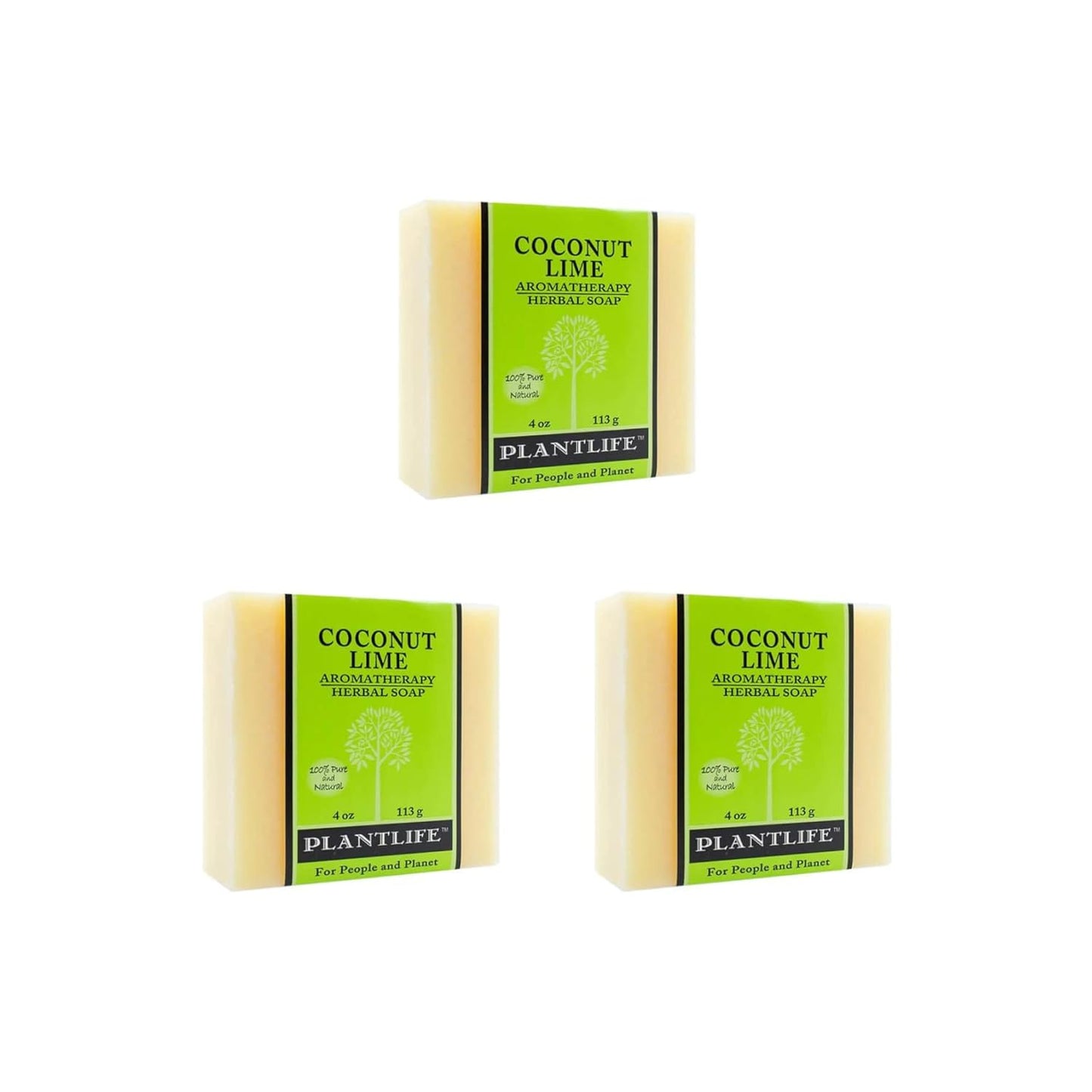 Coconut Lime Plant Based Bar Soap 2 Pack