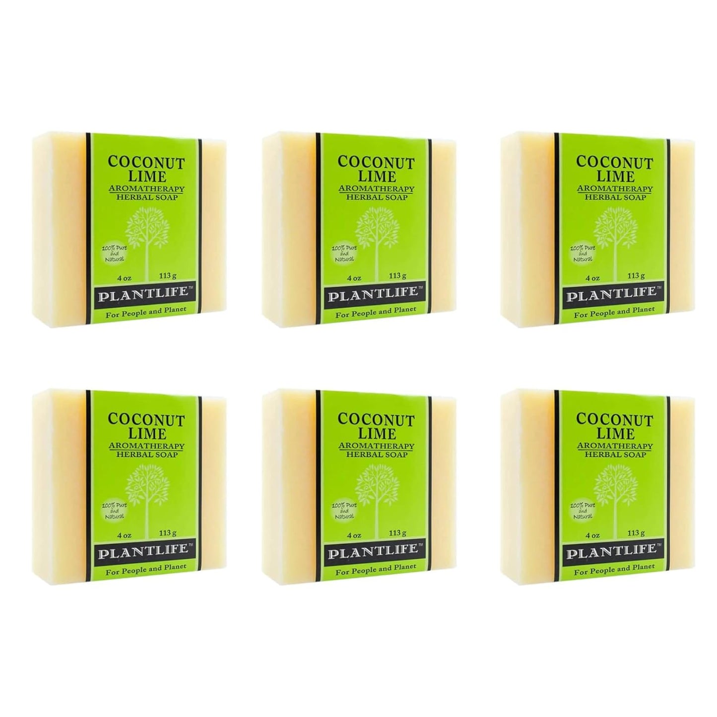 Coconut Lime Plant Based Bar Soap 6 Pack