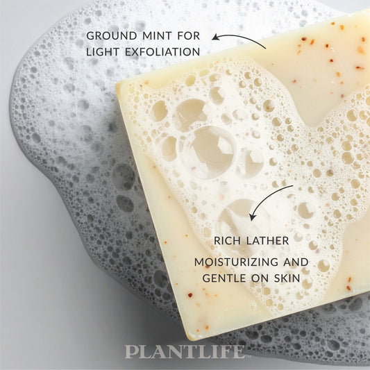 Close-up of a creamy beige Plantlife Double Mint Soap bar with visible mint specks resting in foamy water. Text highlights “Ground mint for light exfoliation” and “Rich lather, moisturizing and gentle on skin.” Refreshing mint soap handcrafted with spearmint and peppermint essential oils for smooth, invigorated skin.