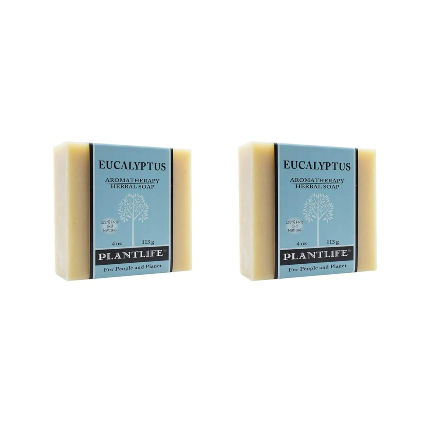Two bars of Plantlife Eucalyptus Aromatherapy Herbal Soap on a white background