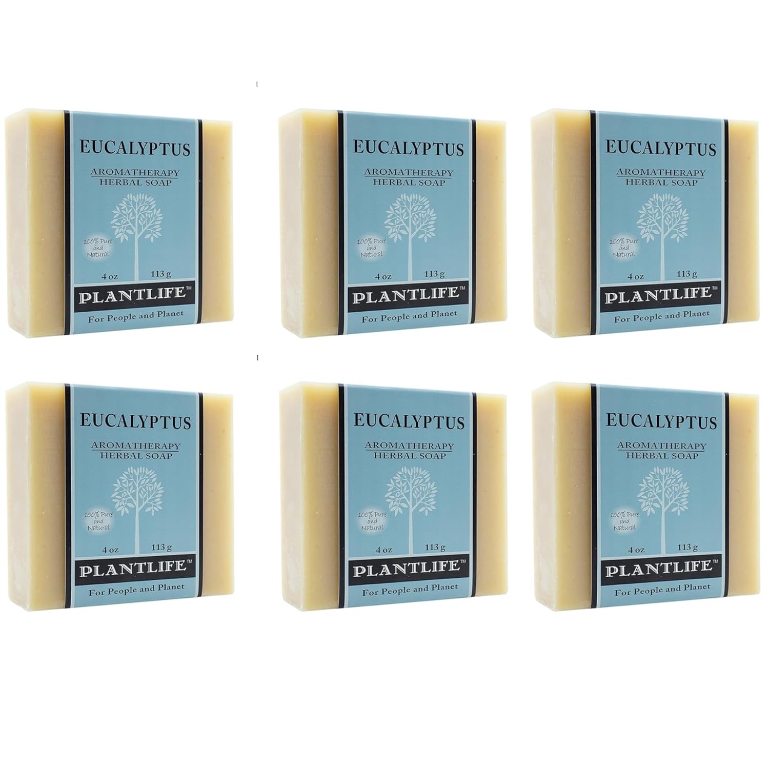 Six bars of Plantlife Eucalyptus soap on a white background