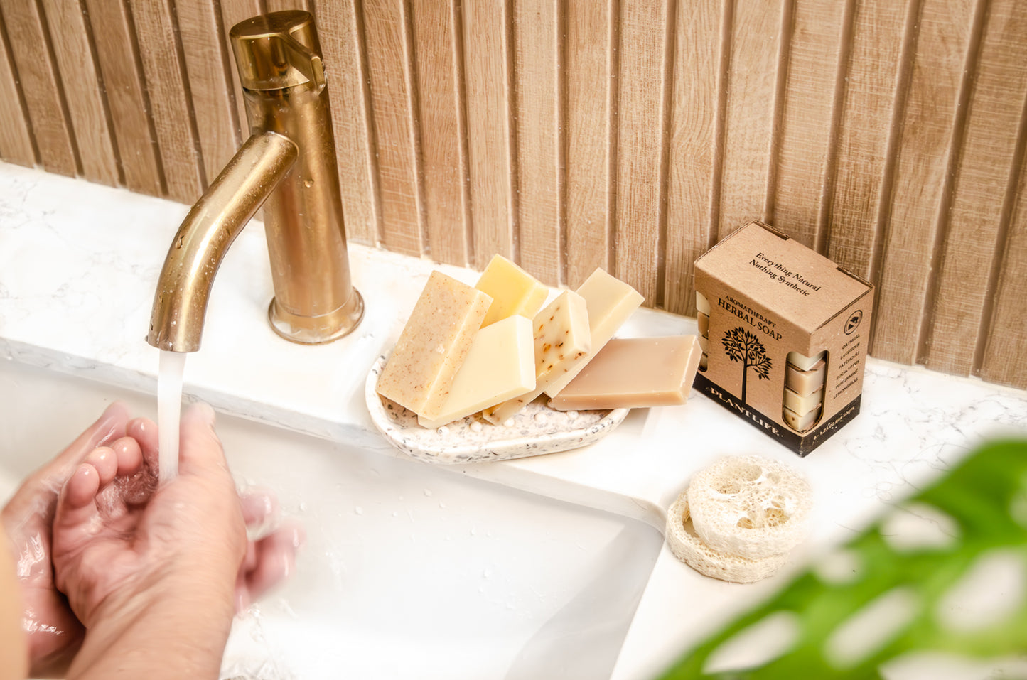 All Natural Soap Sampler | Plantlife | Natural Soap