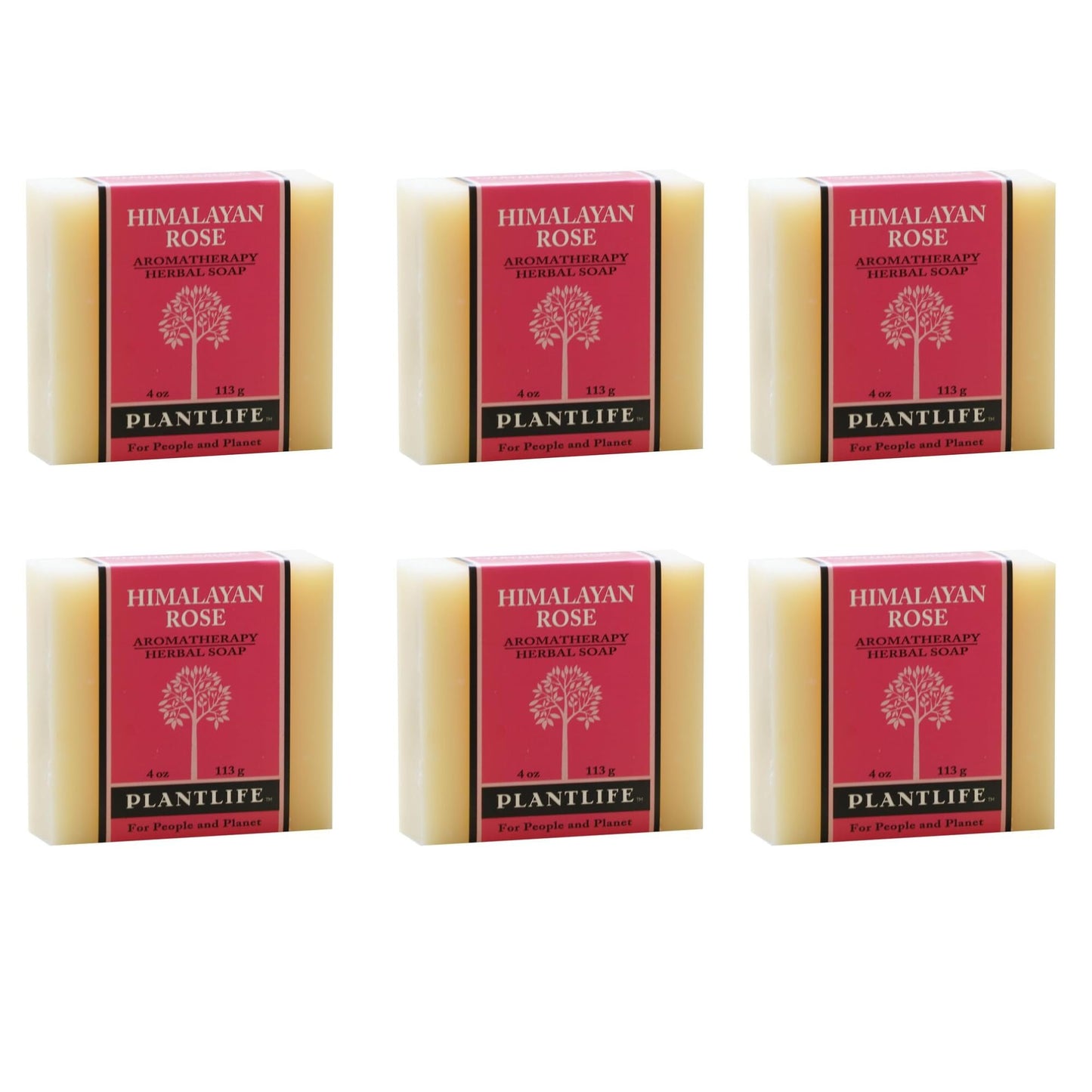 Six bars of Plantlife Himalayan Rose soap on a white background