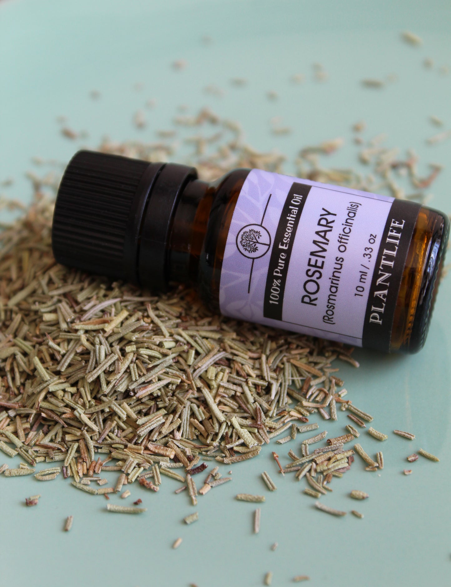 Bottle of Plantlife Rosemary essential oil with dried rosemary leaves on a light green background
