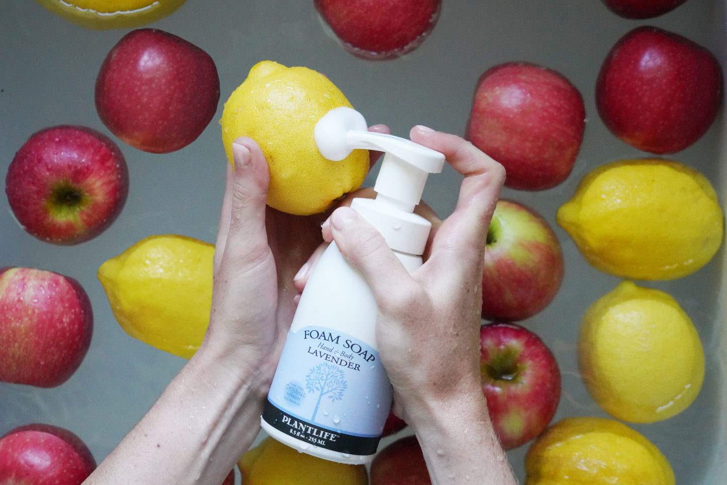 Person holding a pump bottle of Plantlife Foam Soap with lemons and apples in the background.