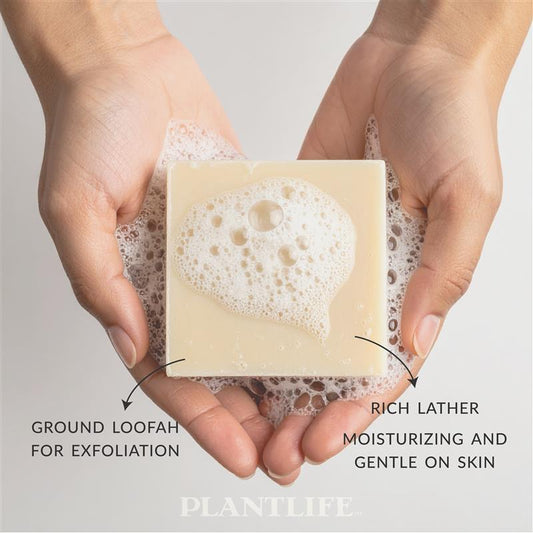 Hands holding a Plantlife Loofah Soap bar with bubbles. Text reads “Ground loofah for exfoliation” and “Rich lather moisturizing and gentle on skin.” Natural plant-based soap featuring exfoliating loofah for smooth, refreshed skin and a creamy essential oil–infused lather.