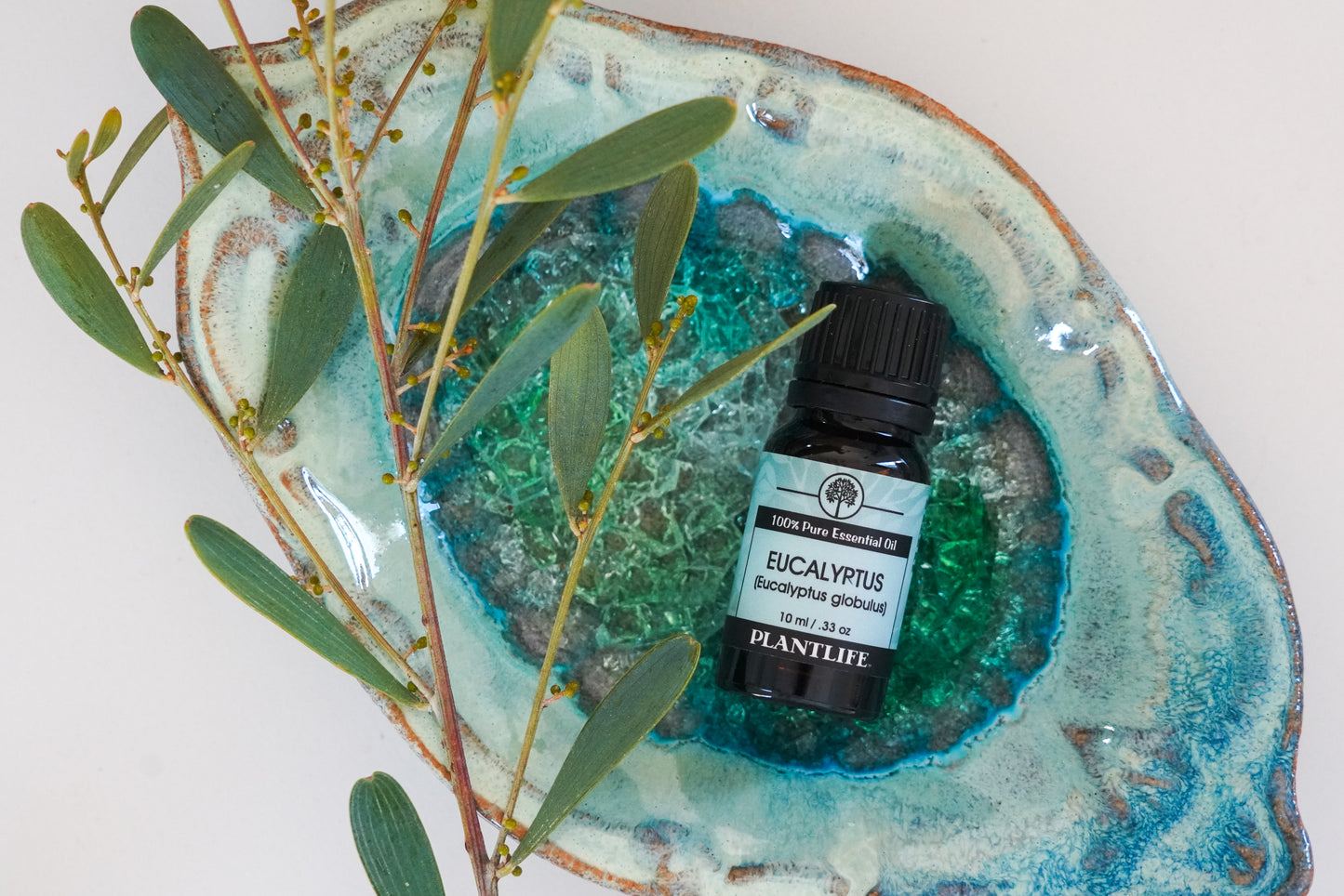 Plantlife Eucalyptus essential oil bottle on a decorative stone with eucalyptus leaves.