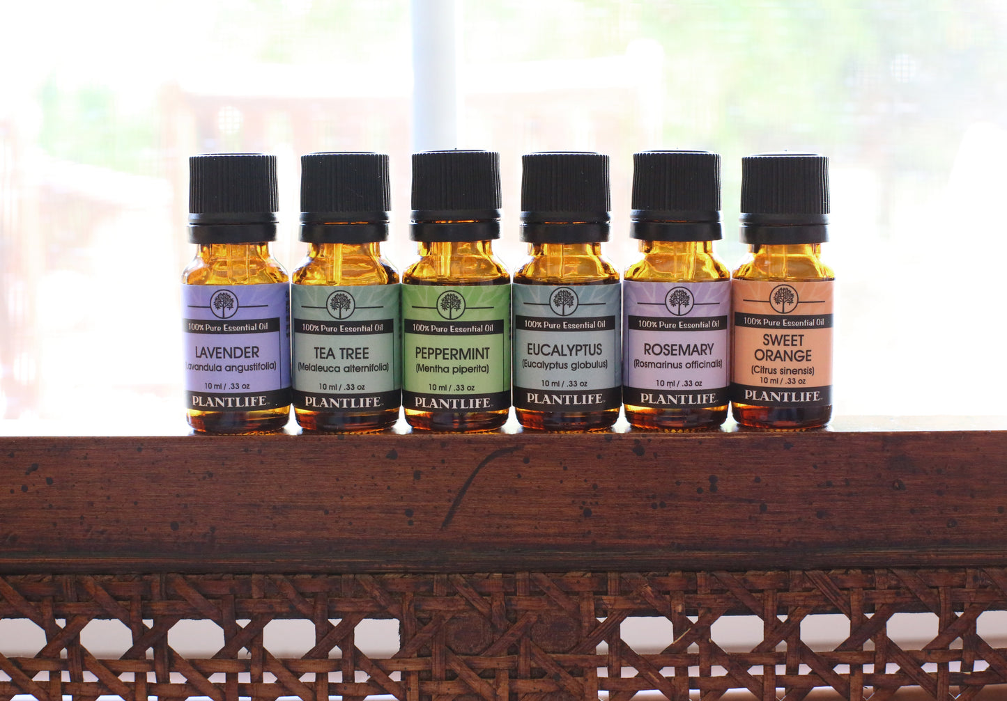 Plantlife Essential Oil Set – Lavender, Tea Tree, Peppermint, Eucalyptus, Rosemary, and Sweet Orange 10ml Bottles for Aromatherapy and Natural Wellness
