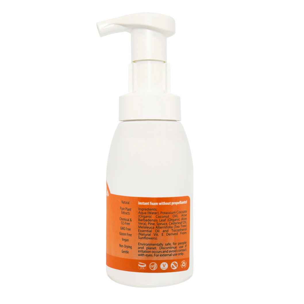 Pumpkin Spice Foam Soap Back Label – Seasonal Blend Ingredients