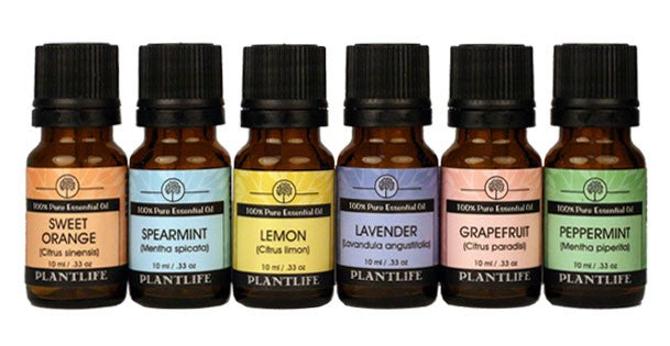 Plantlife Be Well Essential Oil Set featuring three wellness blends