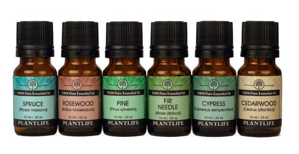 Plantlife Tree Essential Oil Set with grounding, earthy aromas