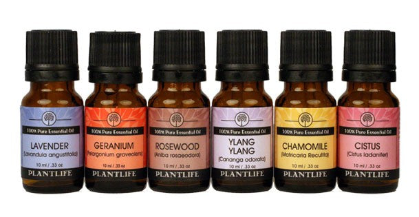 Plantlife Citrus Essential Oil Set in kraft packaging with bright labels