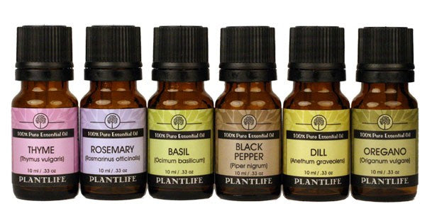 Plantlife Floral Essential Oil Set showcasing six flower-based oils