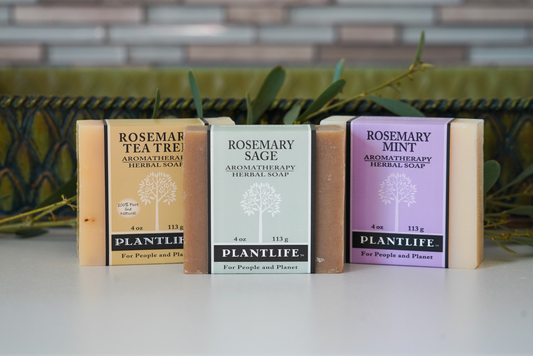 Plantlife Rosemary Tea Tree, Rosemary Sage, and Rosemary Mint aromatherapy herbal soaps displayed in a row with greenery and decorative backdrop