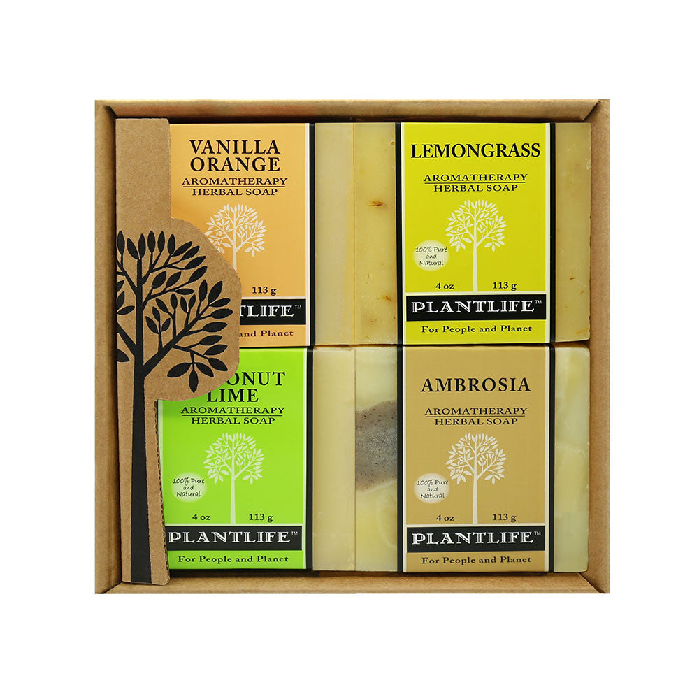 Plantlife Aromatherapy Herbal Soap Gift Set with four 4oz bars in Vanilla Orange, Lemongrass, Coconut Lime, and Ambrosia scents in a kraft gift box.