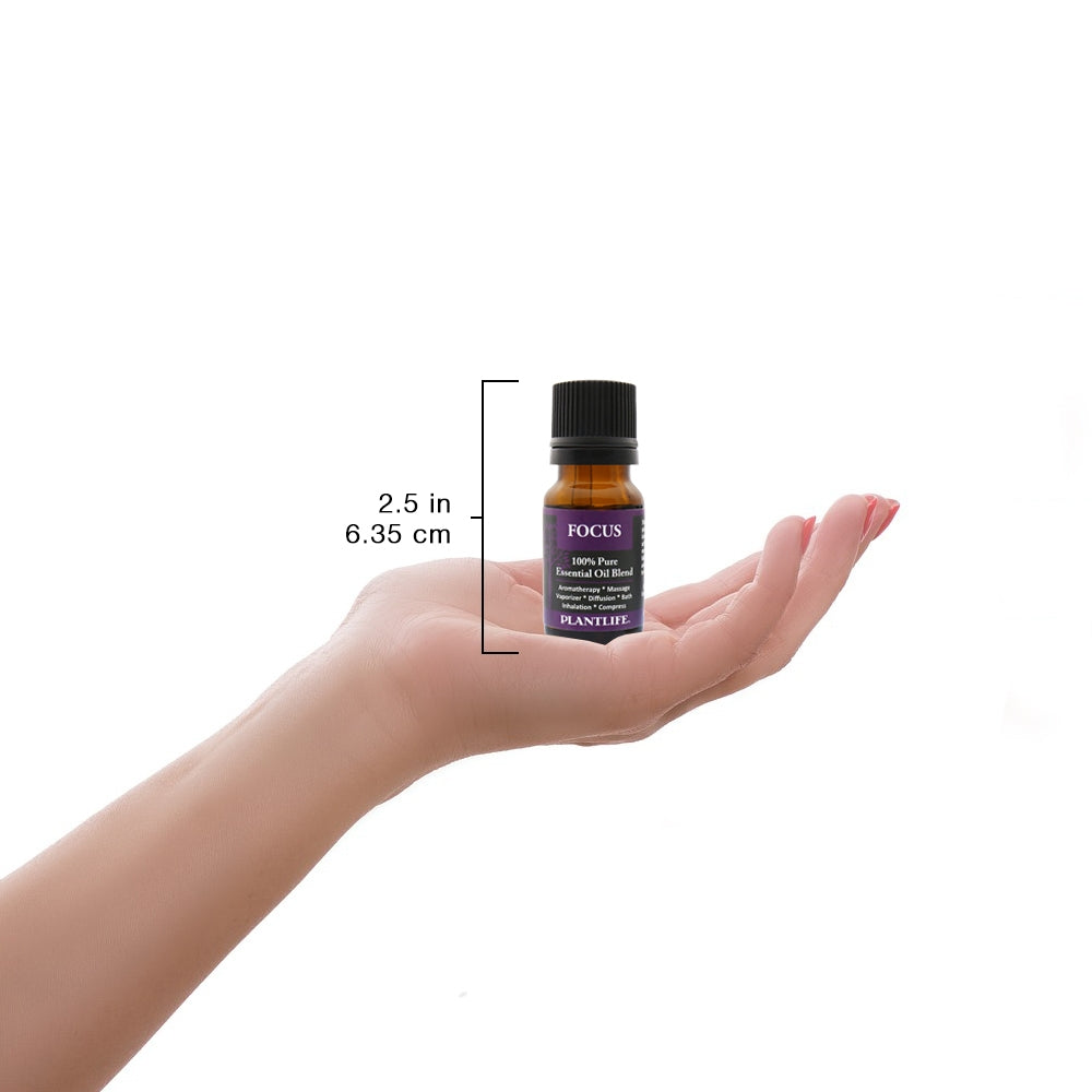 Focus Essential Oil Blend 10ml in Hand – Small and Focused Formulation