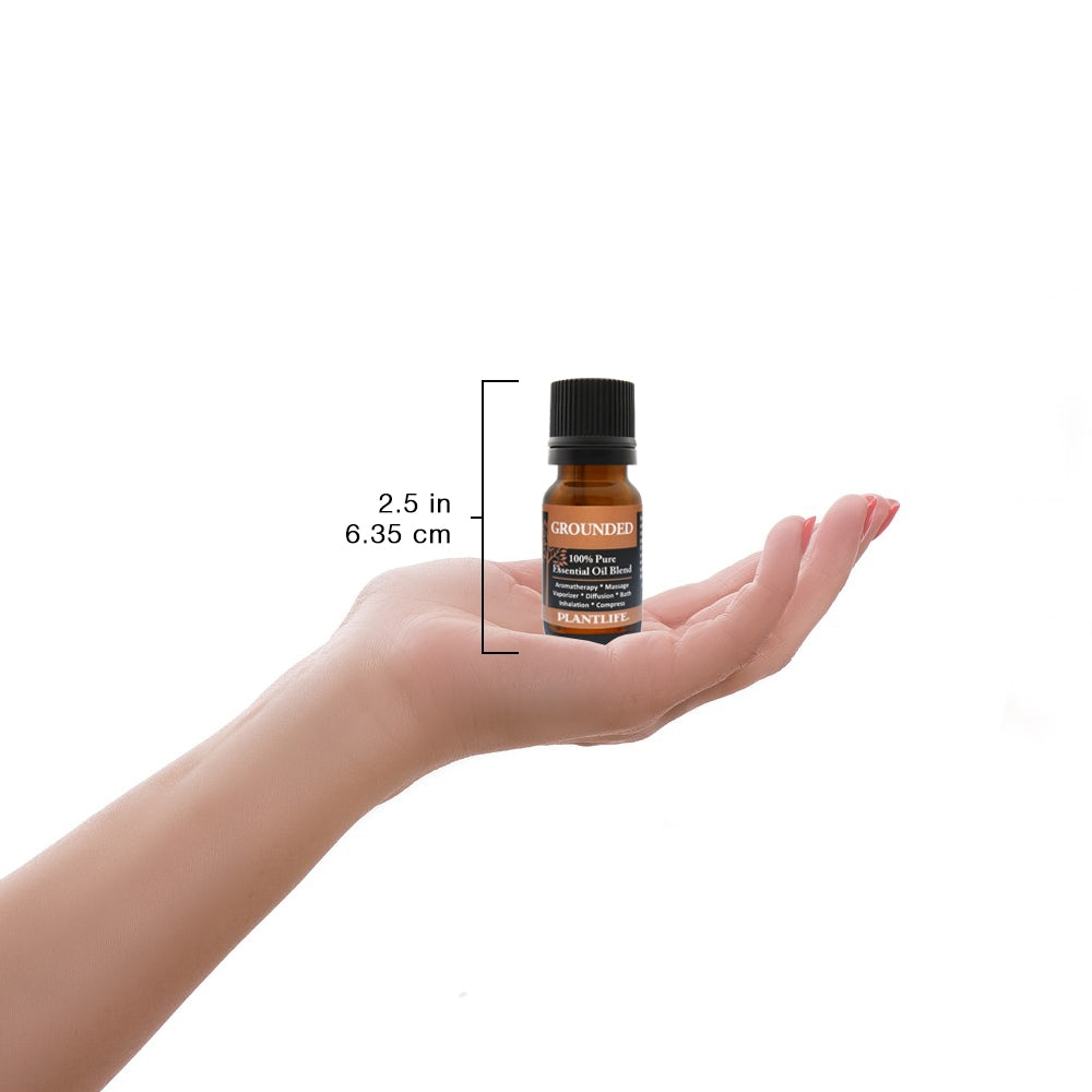 Grounded Essential Oil Blend 10ml in Hand – Centering Oil Size Guide