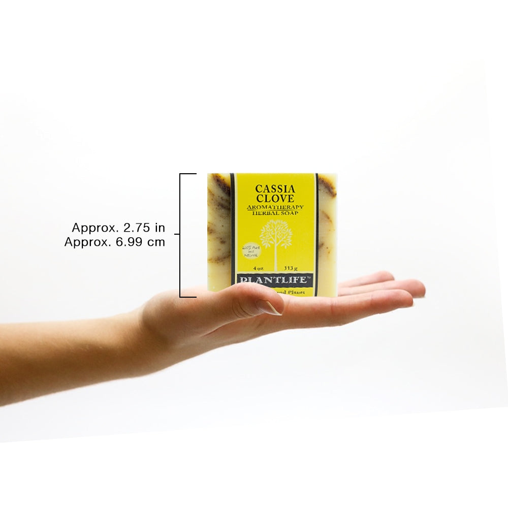 Cassia Clove Plant Based Bar Soap