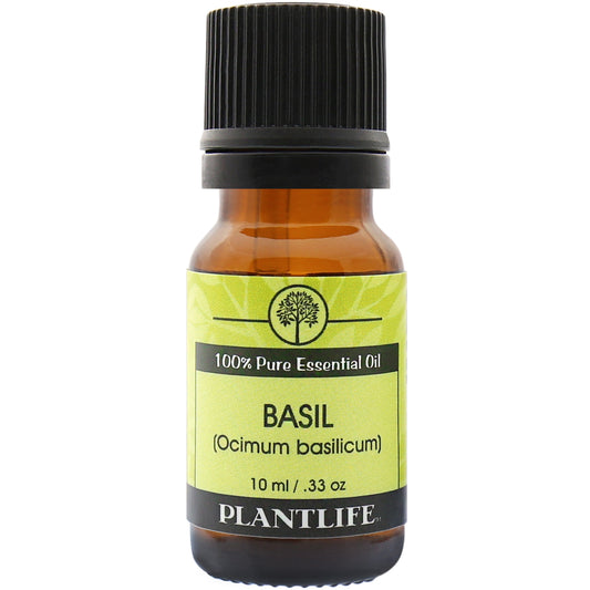 Plantlife Basil Essential Oil bottle with fresh, herbaceous scent