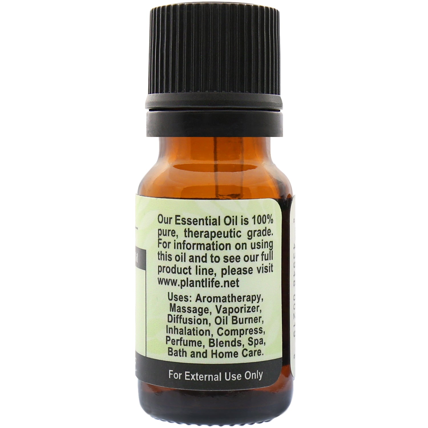 Plantlife Bay Leaf Essential Oil front bottle image with scent profile