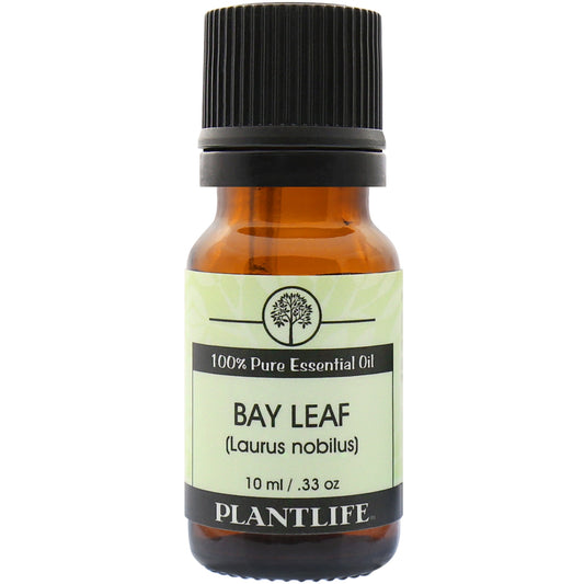 Plantlife Bay Leaf Essential Oil bottle with sweet-spicy, camphor aroma