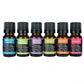 Be Well Essential Oil Set - 100% Pure Essential Oils 