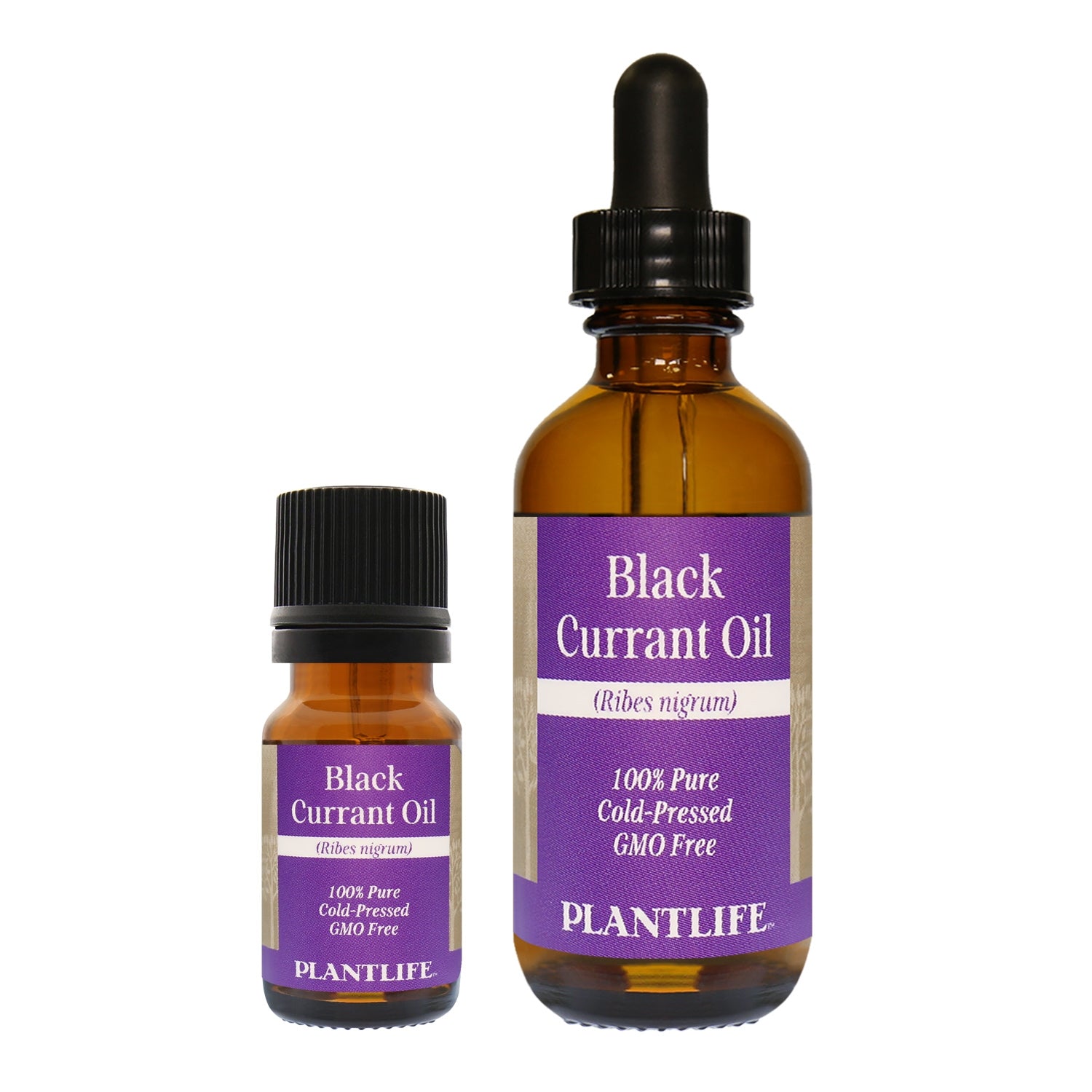 Amber glass bottle of 100% pure Black Currant Oil by Plantlife