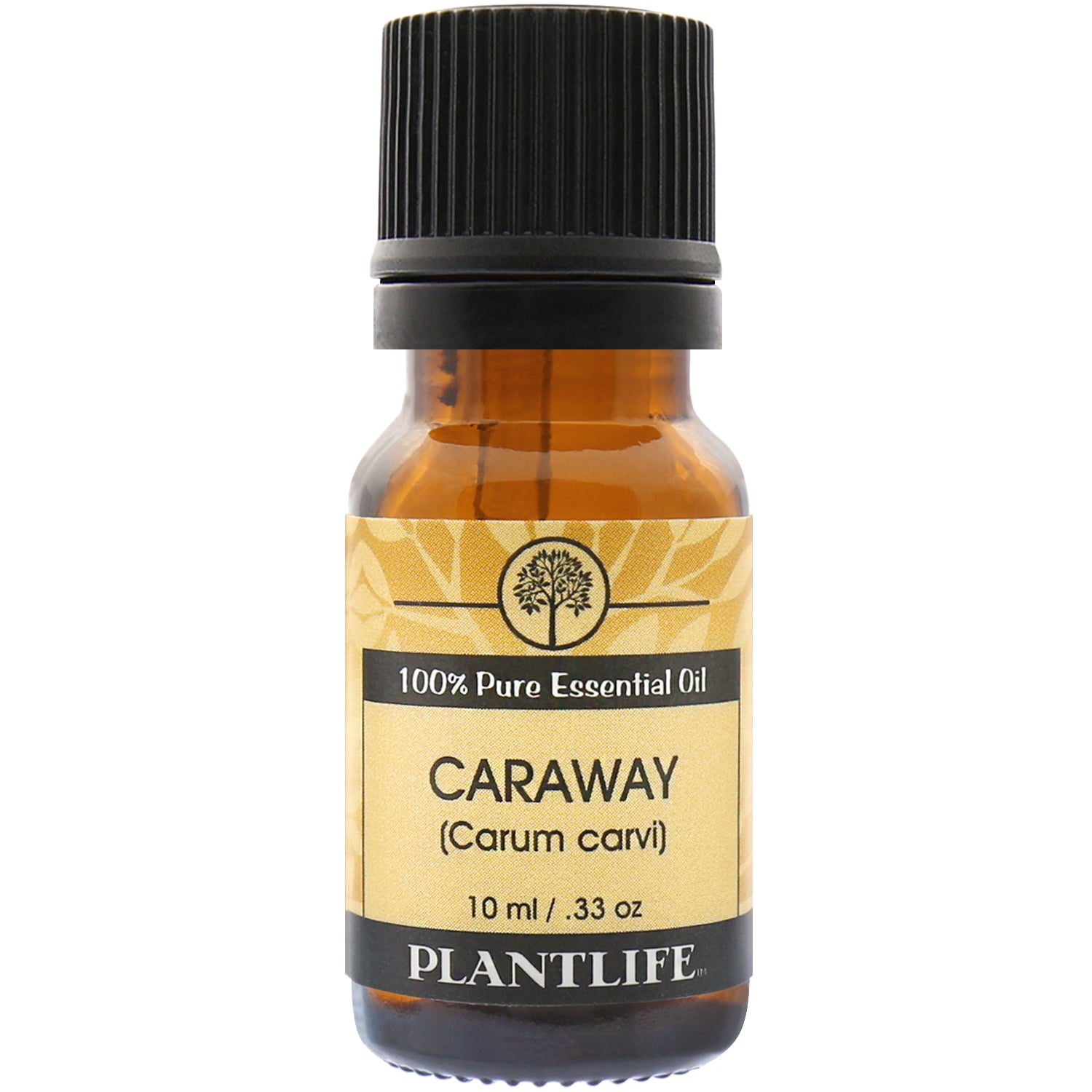 Plantlife Caraway Essential Oil bottle with warm, spicy scent