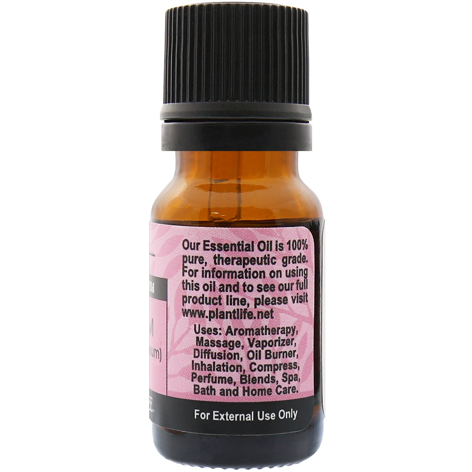 Plantlife Cardamom Essential Oil back label and aroma profile