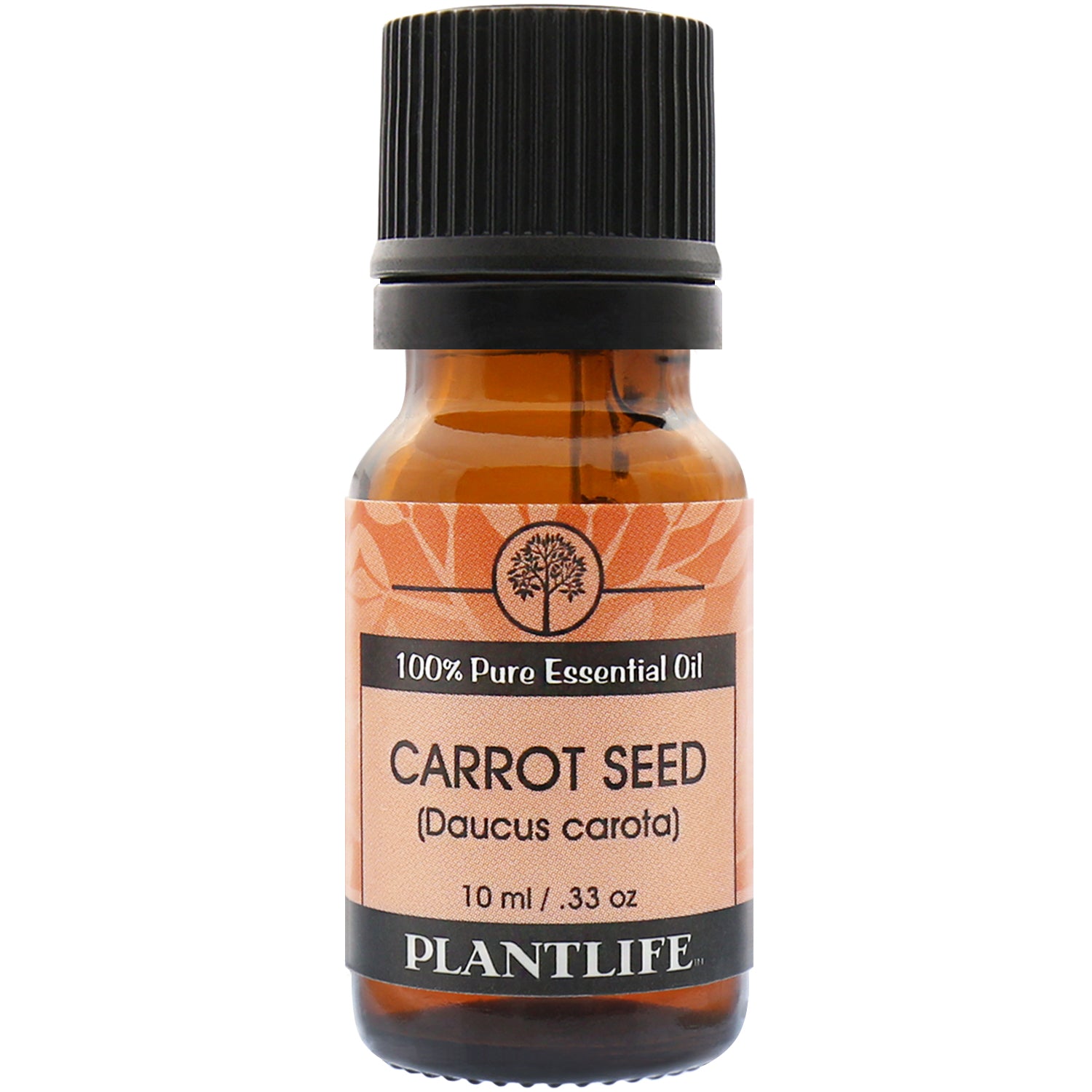 Carrot Seed (Daucus carota) Organic Essential Oil