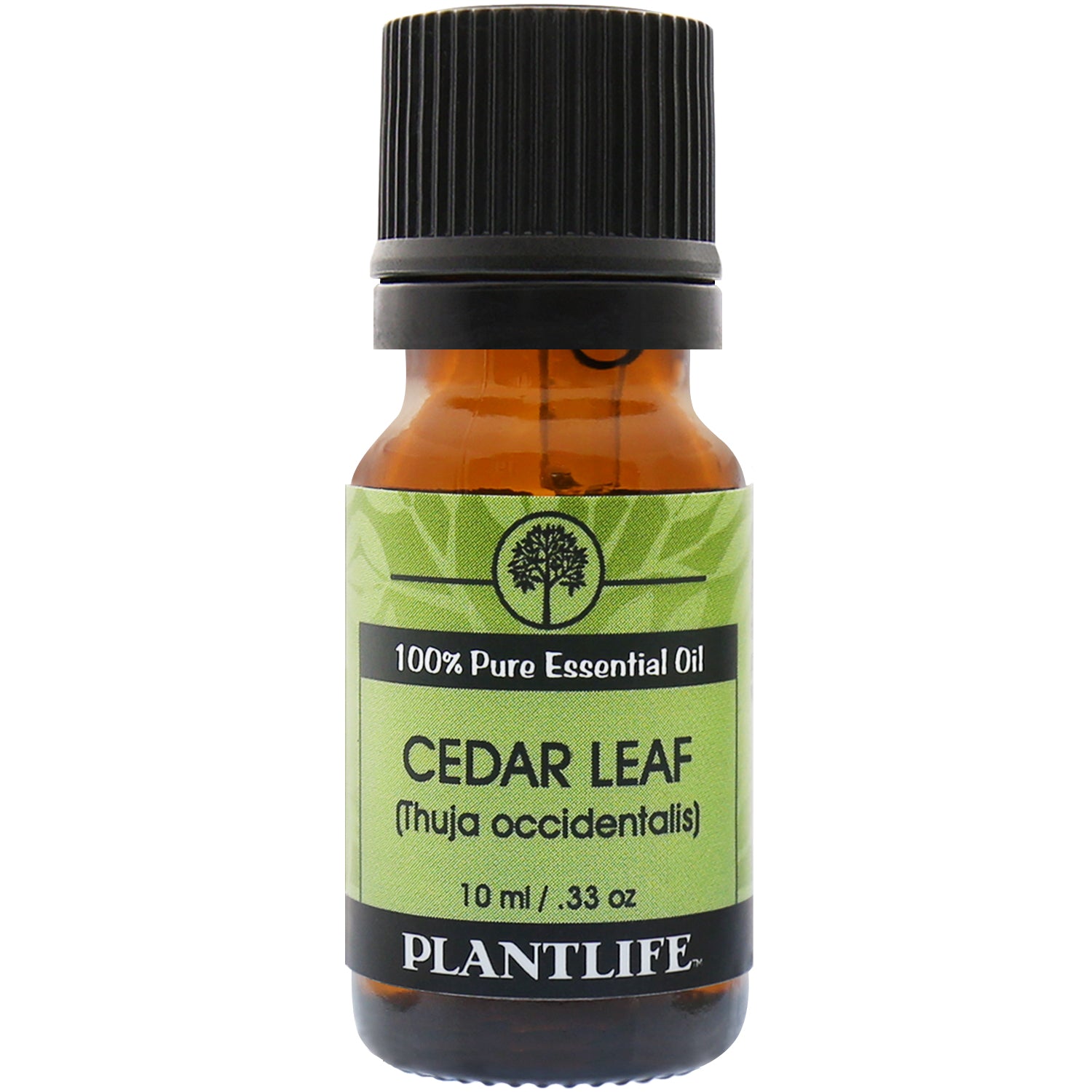 Plantlife Cedar Leaf Essential Oil bottle with fresh, camphoraceous aroma