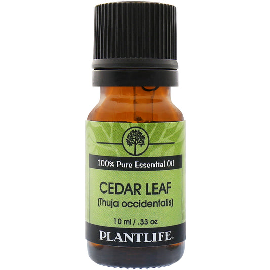 Plantlife Cedar Leaf Essential Oil bottle with fresh, camphoraceous aroma