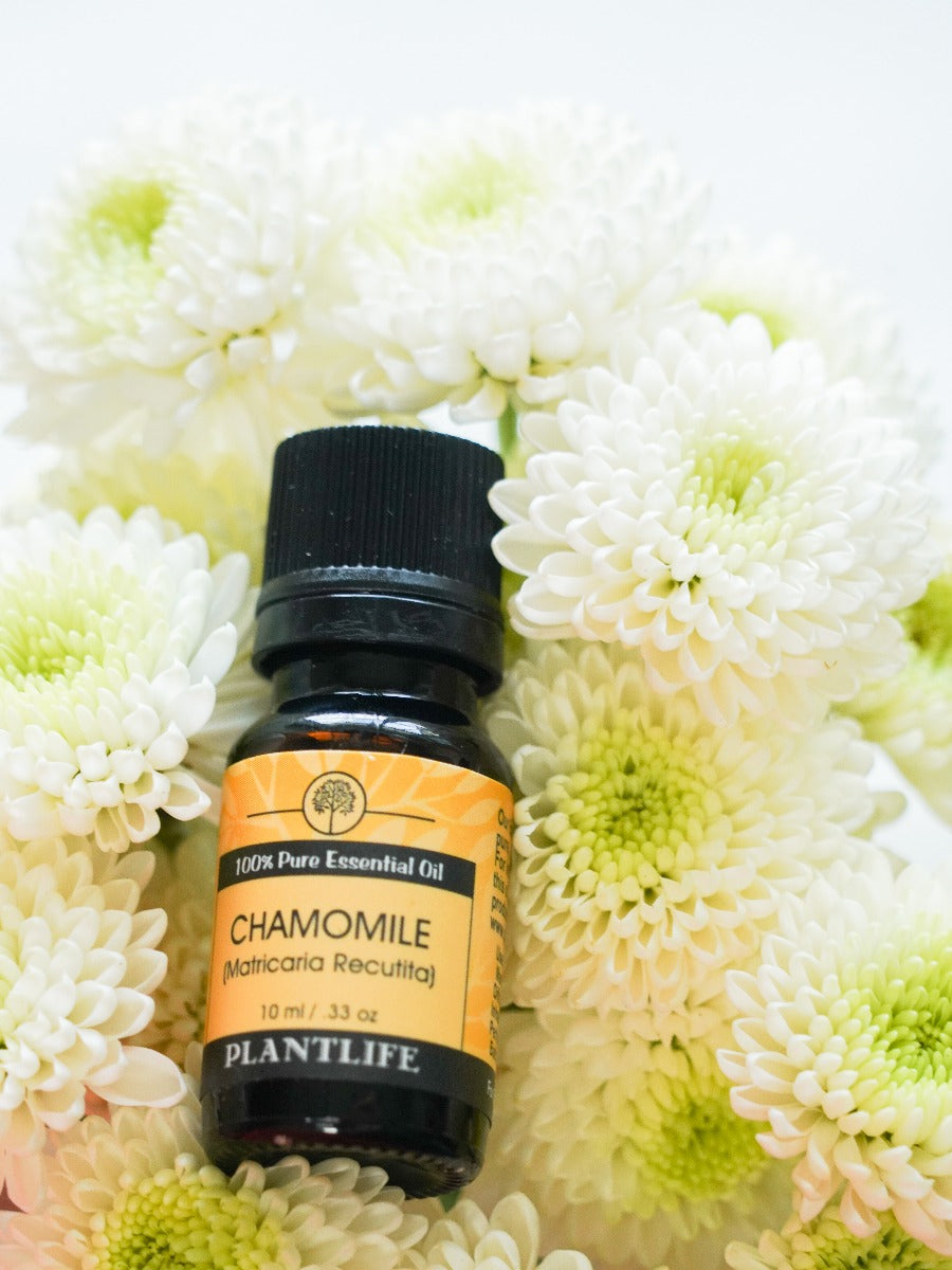 Plantlife Chamomile Essential Oil bottle with dried flower decor