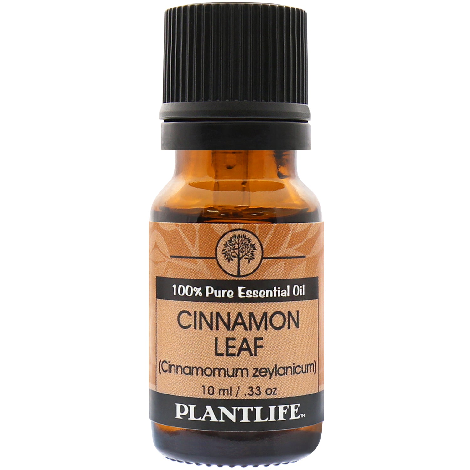Cinnamon - 100% Pure Essential Oil - Invigorating, Warming