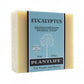 Eucalyptus Plant Based Bar Soap