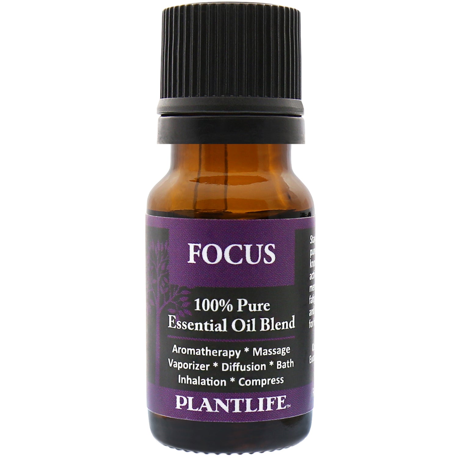 Focus Essential Oil Blend – Boost Concentration with Herbal Clarity