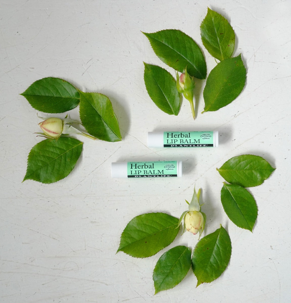 Herbal Plant Based Lip Balm