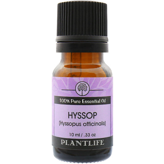 Plantlife Hyssop Essential Oil bottle with sweet, herbal aroma