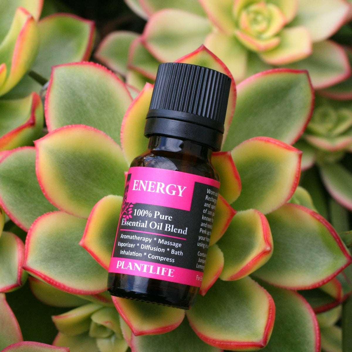 Energy Essential Oil Blend – 10ml Bottle with Ingredient and Usage Info