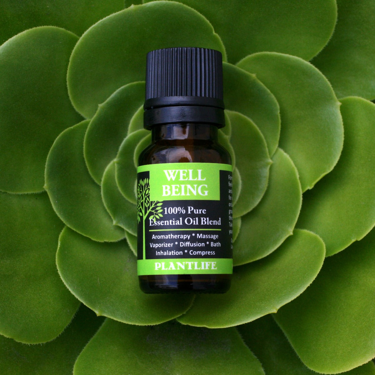 Well Being Essential Oil Blend – 10ml Bottle with Label Text