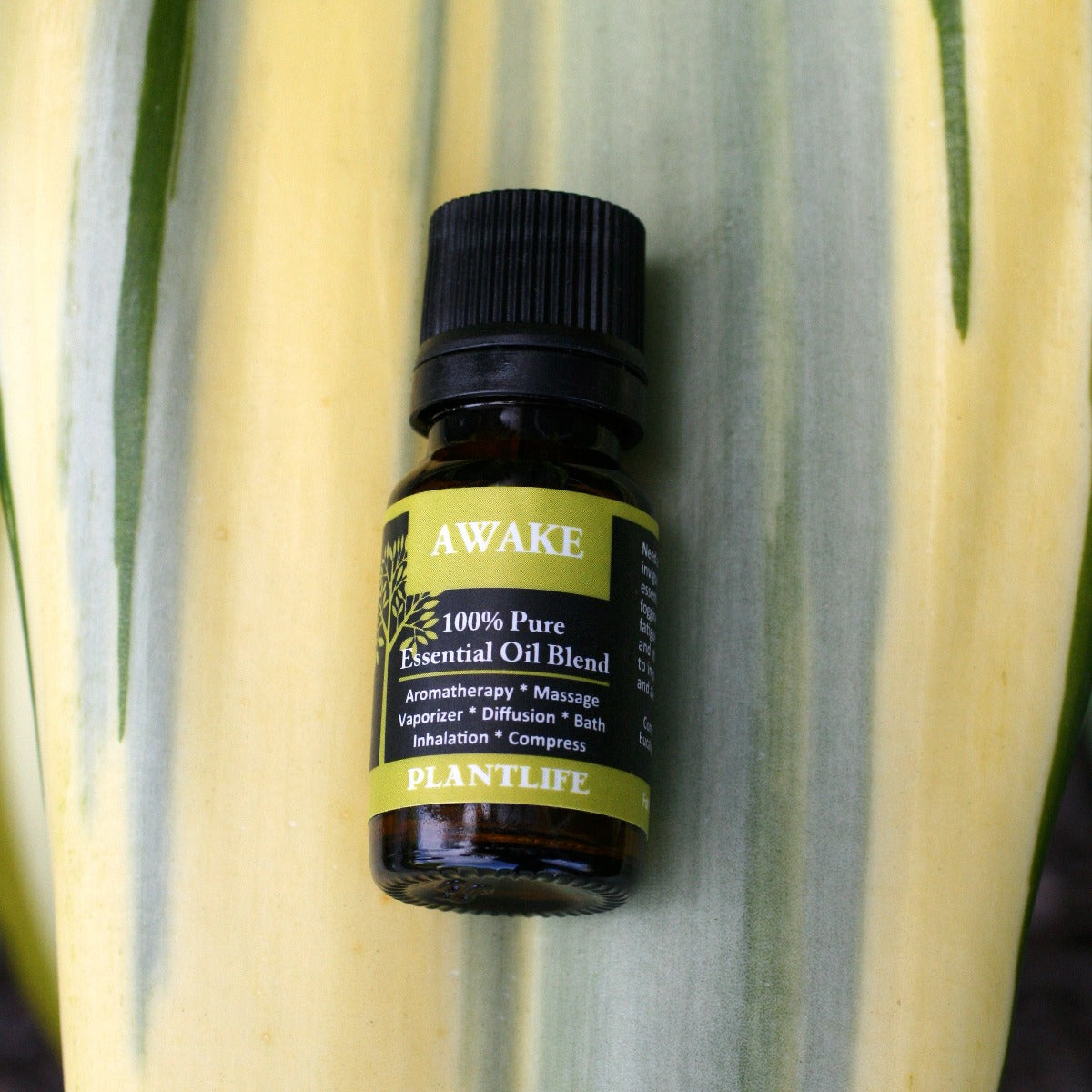 Awake Essential Oil Blend – 10ml Bottle with Front Label