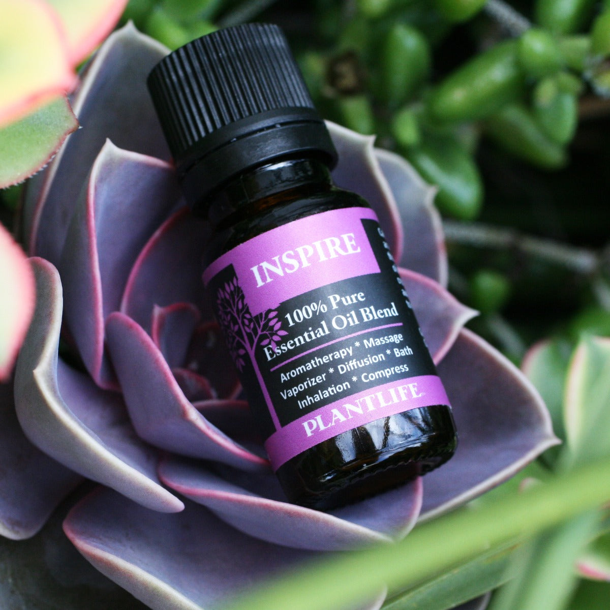 Inspire Essential Oil Blend – 10ml Bottle Label with Ingredients