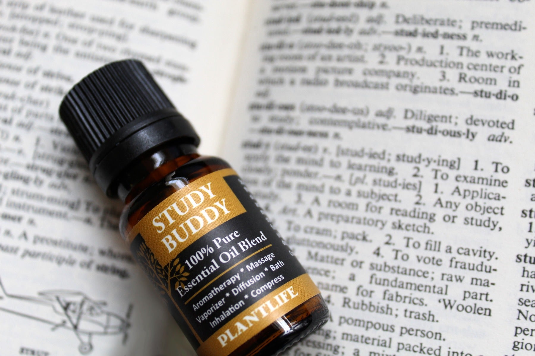 Study Buddy Essential Oil Blend – 10ml Bottle Label View
