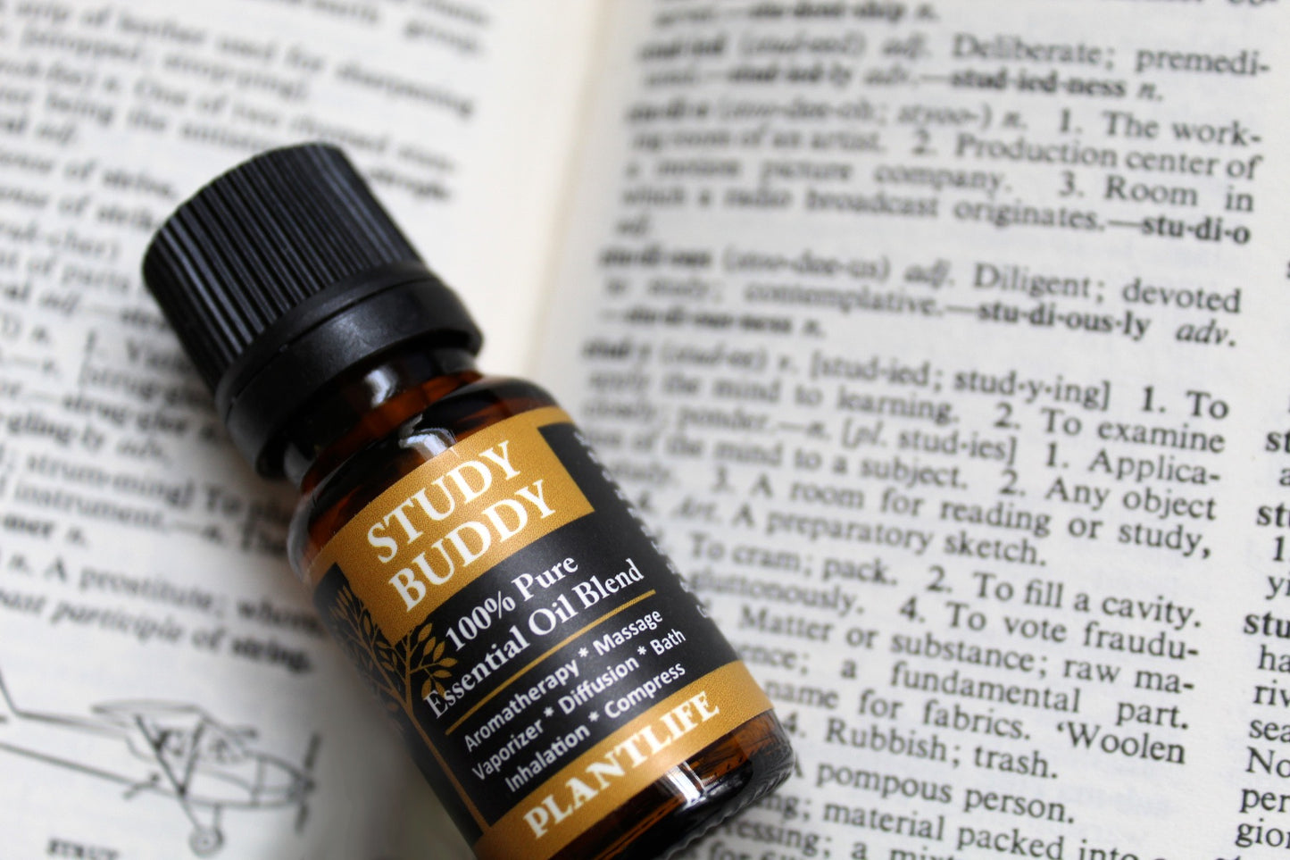 Study Buddy Essential Oil Blend – 10ml Bottle Label View