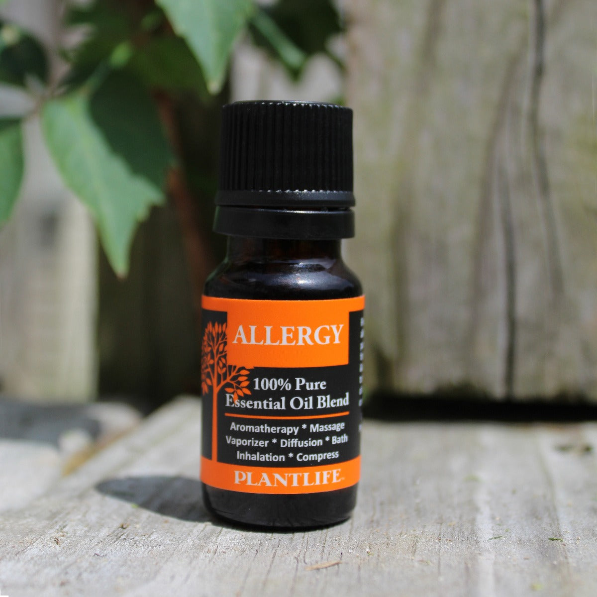 Allergy Essential Oil Blend – Front Label Text Display